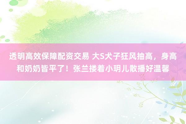 透明高效保障配资交易 大S犬子狂风抽高，身高和奶奶皆平了！张兰搂着小玥儿散播好温馨