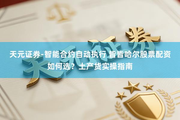 天元证券-智能合约自动执行 皆皆哈尔股票配资如何选？土产货实操指南
