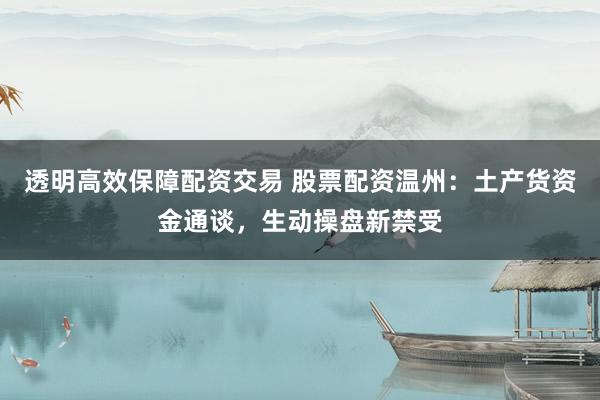 透明高效保障配资交易 股票配资温州：土产货资金通谈，生动操盘新禁受